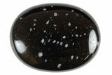Snowflake Obsidian Pocket Stones - 1.7" Size - Photo 3